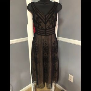 Ann Taylor Loft Dress!